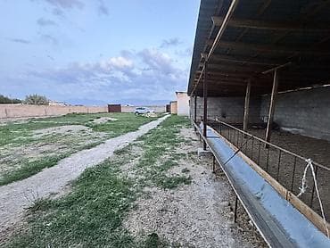 продается гараж: Времянка+сарай сатылат баардык шарттары менен участок 15 сотых — 8