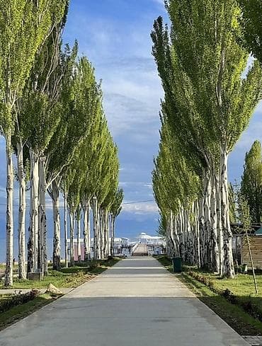 🌊 Уютная квартира в пансионате «Лазурный берег», Иссык-Куль ✨ — 1