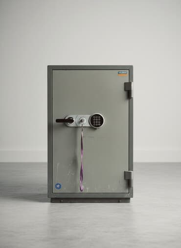 мото чехол: Сейф для денег и документов, Б/у, Комбинированные, Противопожарная — 1