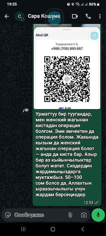 коты даром: Жардам берсинерби эртен опираться болом дуба кылп койгула — 1