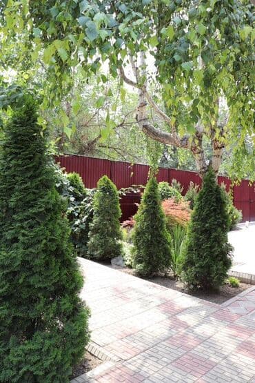 vip бишкек сауна с девочками бишкек: Баня | Бассейн — 21