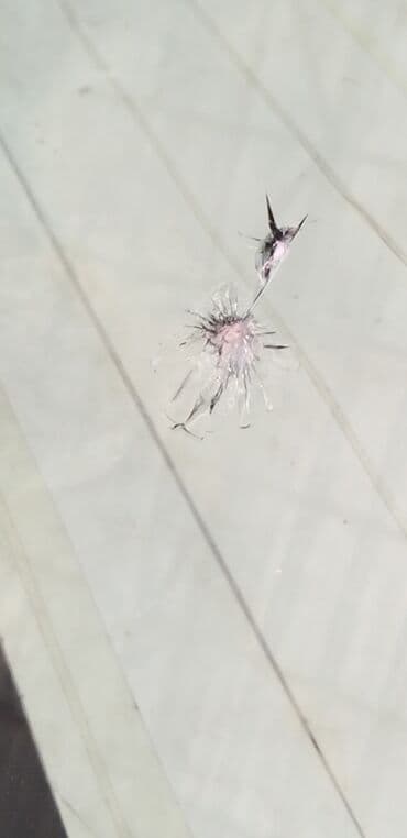 ремонт стекол авто бишкек: Ремонт лобового стекла!!! Сколы трещины работаем с материалом из сша — 2