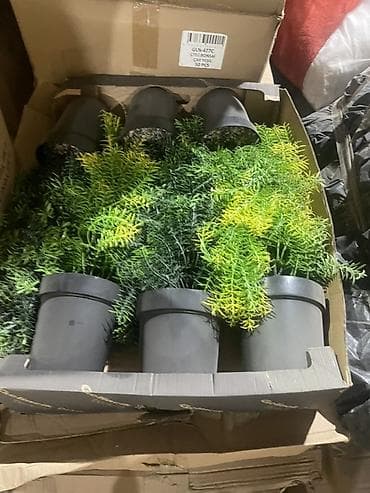 цветы уличный: Искусственное декоративное растение в горшке - Реалистичная — 2