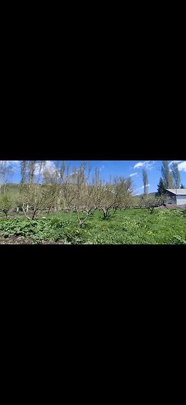 дача участок: Продается дом с участком! 🔹 Просторный дом для семьи 🔹 Участок с — 7