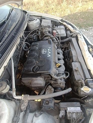 чернение шин: Toyota Allex: 2003 г., 1.5 л, Автомат, Бензин, Хэтчбэк — 6