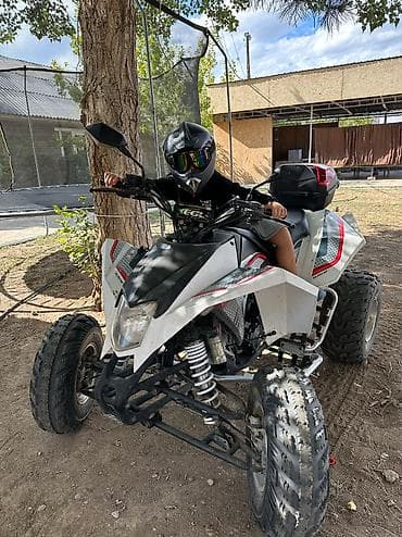 Продаю квадроцикл европеец SPEED GEAR EGL300 Полностью технически