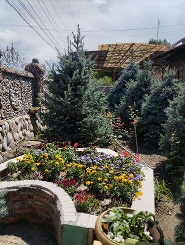 дом с бассейном посуточно: Дом, 700 м², 8 комнат, Собственник, Дизайнерский ремонт — 1