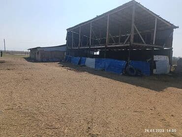 степное дом продаже: Времянка, 30 м², 3 комнаты, Агентство недвижимости, Старый ремонт — 8