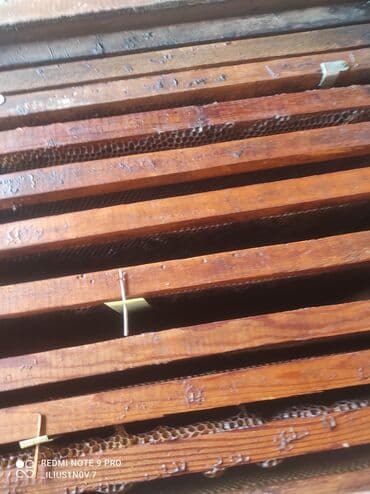 Зоотовары: Рамки для пчёл суш в отличном состоянии ( срочно продается ) ! — 3