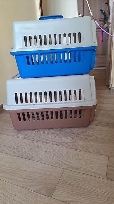 отдам в добрые руки кошку: Переноски для животных (кошек, мелких собак, кроликов) - Материал — 5