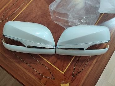 Lexus GX460 лапухи