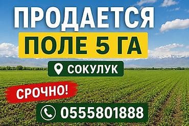 500 соток, Для сельского хозяйства, Договор купли-продажи