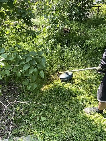 Уборка территории, Стрижка газона