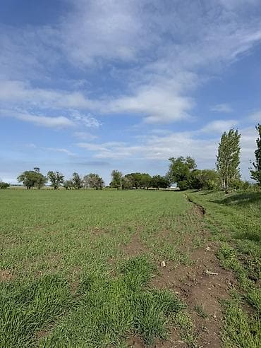 селхоз земли: 500 соток Для сельского хозяйства, Водопровод — 8