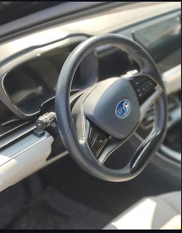 BYD: BYD E9: 2021 г., Автомат, Электромобиль, Седан — 7