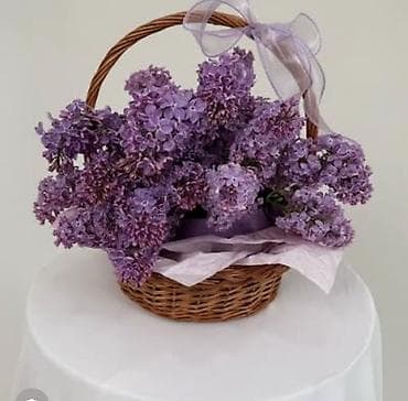 корзина для цветов: Сиреневые композиции и букеты - Пышные соцветия свежесрезанной — 1