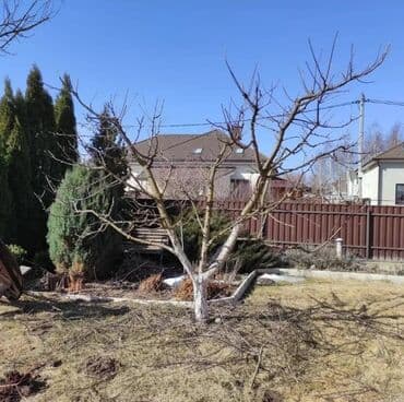 Обрезка плодовых деревьев
Обработка плодовых деревьев
Обрезка сада at lalafo.kg Обрезка плодовых деревьев
Обработка плодовых деревьев
Обрезка сада