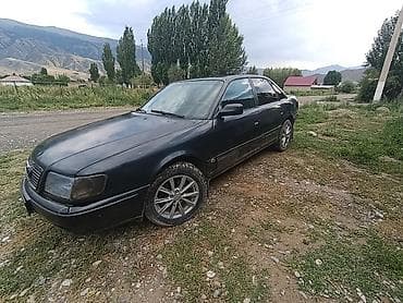 Audi 100: 1992 г., 2.5 л, Механика, Бензин, Седан