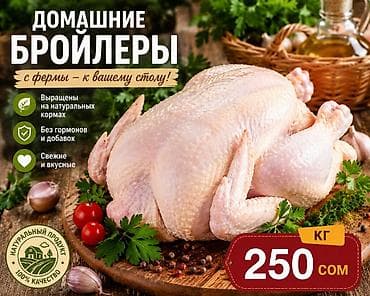 одеяло с подогревом бишкек: Домашние бройлеры — с фермы к вашему столу. Описание продукта: - — 1