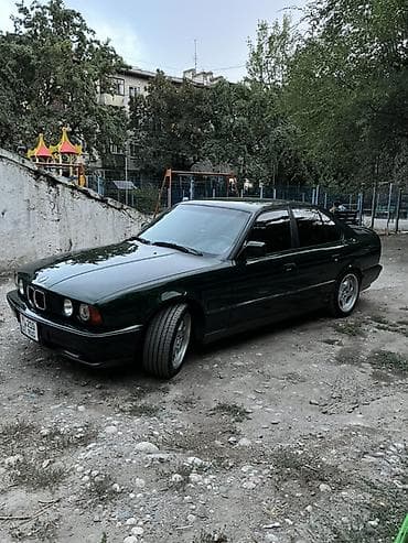 bew e39: BMW 5 series: 1993 г., 2.5 л, Автомат, Бензин, Седан — 1