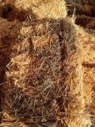 Продаю салому ячменая с доставкой беловодске 200 сом