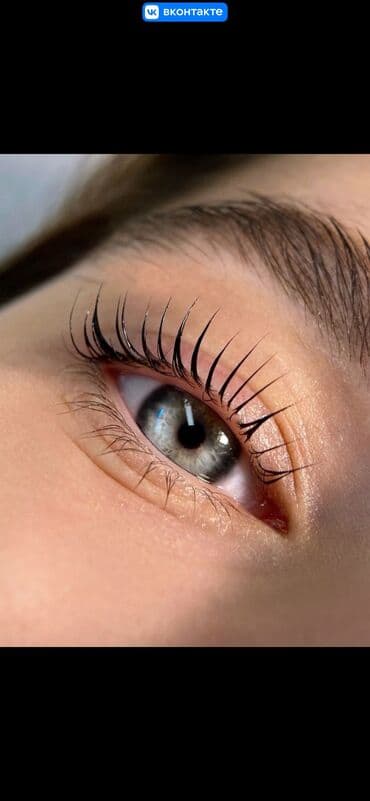 слива ферментированная капсула для похудения отзывы: Наращивание ресниц Ламинирование бровей и ресниц Коррекция и — 12