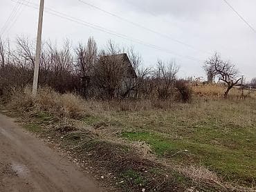 угловой участок: 10 соток, Для сельского хозяйства, Договор купли-продажи — 7