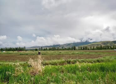 срочно продам дом новопокровка бишкек: 50 соток, Для сельского хозяйства, Договор купли-продажи — 1