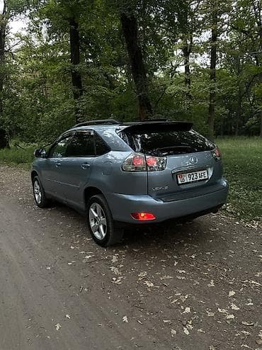 Продажа авто: Lexus RX: 2003 г., 3.3 л, Автомат, Бензин, Кроссовер — 5