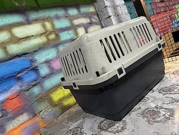 породы кур: Переноска пластиковая. 45 (Д*Ш*В). Подходит для кошек и небольших — 1