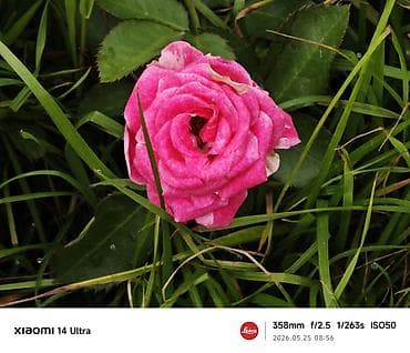 epson 270: Xiaomi 14 Ultra Процессор:SnapDragon 8Gen 3 256/12 120герц Камера — 10