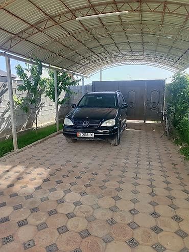 велтмейстер авто: Mercedes-Benz ML-Class: 2003 г., 3.2 л, Бензин, Внедорожник — 1