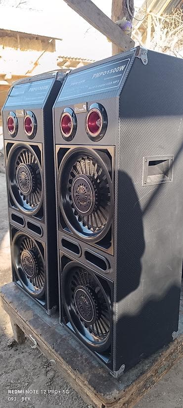 Акустическая система Eltronic Super Karaoke (пара напольных колонок) — 3