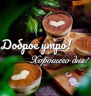 лук продам: Бутоны пионов разных цветов малиновые белые розовые бутоны плотные — 5