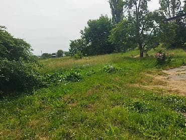 Жер тилкелери: 10 соток, Айыл чарба үчүн, Кызыл китеп, Техпаспорт — 3