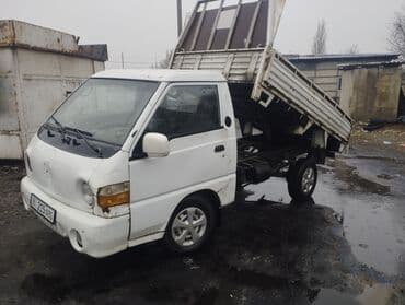 Легкий грузовик, Hyundai, Стандарт, До 1 т