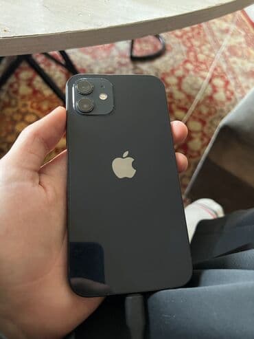чехлы айфон xs: IPhone 12, Черный, 100 % — 1