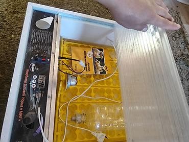 Оборудование для производства: Бытовой инкубатор «Норма = МИР» - Электронная панель управления с — 4