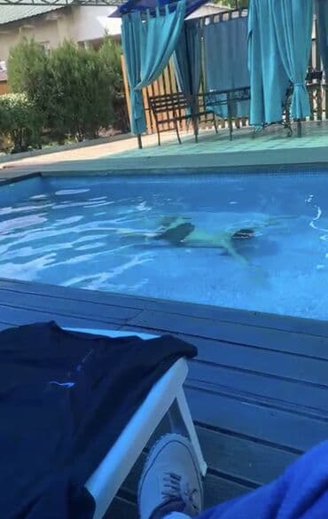 где можно купить бассейн: ### Большой теплый бассейн - **Размеры**: Просторный бассейн — 2