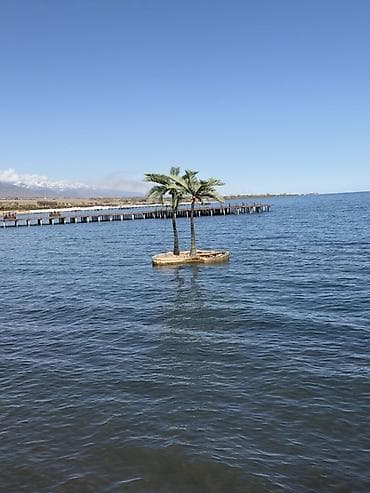 земельный дом: Сдаётся уютный коттедж в ЦО Palm Beach 🌴🏡 Идеальный вариант для — 8