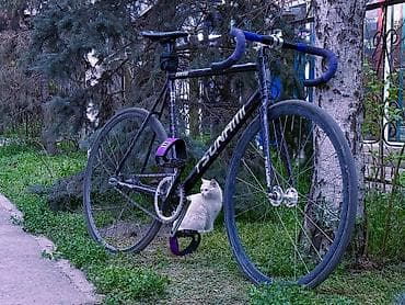 novatec: Шоссейный велосипед, Tsunami, Рама XL (180 - 195 см), Б/у — 1