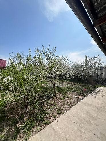 🏡 Продаётся уютный дом 📍 Тихий и живописный район — идеальное место — 9