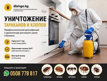 Дезинфекция, дезинсекция, | Муравьи, | Дома