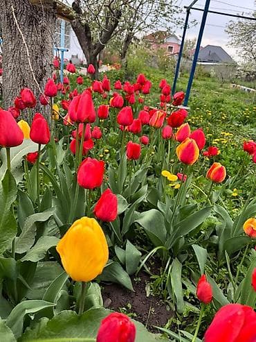 письменные столы бишкек: Самовывоз — 9