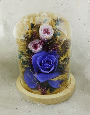 Живые розы которые не завянут даже через год!!! Бишкек (Вазы от 1400 at lalafo.kg Живые розы которые не завянут даже через год!!! Бишкек (Вазы от 1400