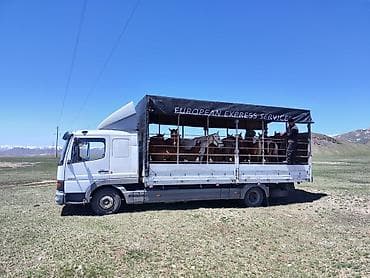 rex sprinter: Грузовик, Mercedes-Benz, Стандарт, 5 т — 7