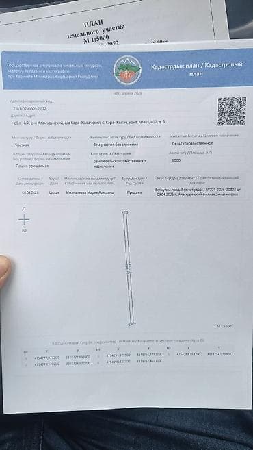 массив: 60 соток — 6