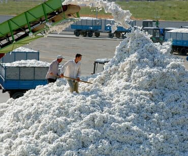 наполнители для кошек: ПАХТА АЛАБЫЗ 
СРОЧНО СРОЧНО СРОЧНО ЗВОНИТЕ
WhatsApp — 1