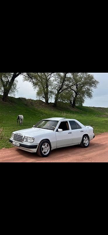 водный мото: Mercedes-Benz W124: 1991 г., 2.5 л, Дизель, Седан — 3