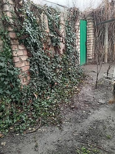 дом с сарайом: Продаётся дом за капитальным кирпичным забором с зелёными воротами и — 6